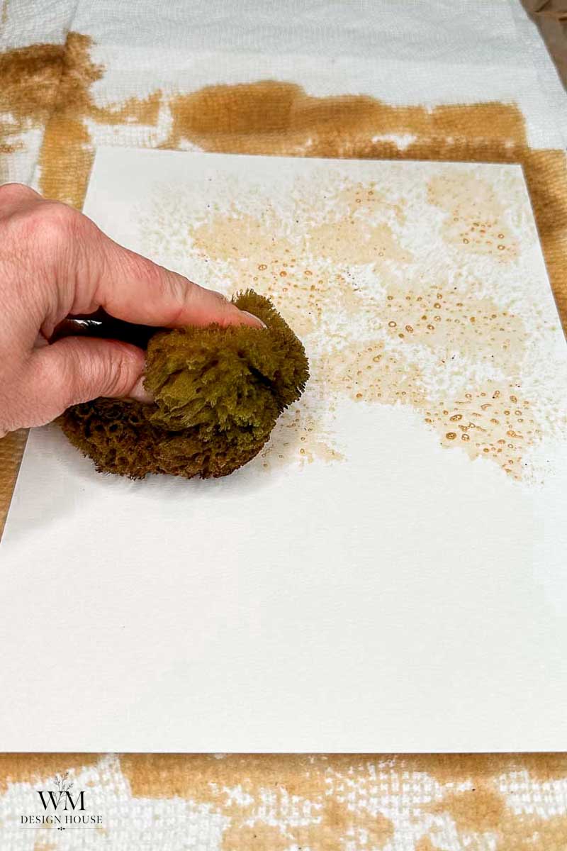 A hand uses a natural sea sponge to dab coffee onto white paper, creating a textured, speckled effect that resembles the look of aged parchment.