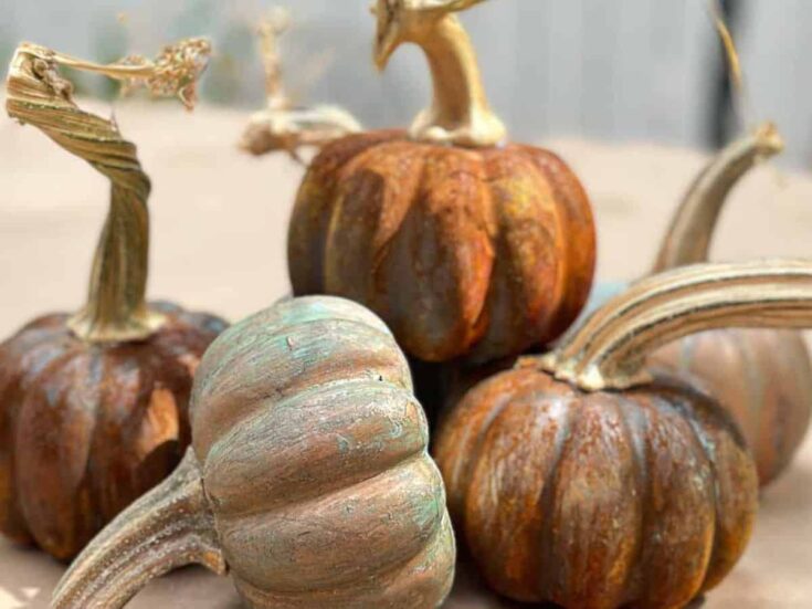 A variety of Patina Pumpkins from rust to copper with natural stems
