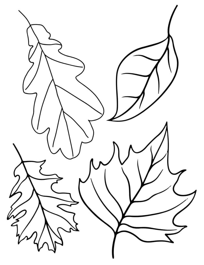 leaf template for cutting out leaves to make a fall garland with coffee paper
