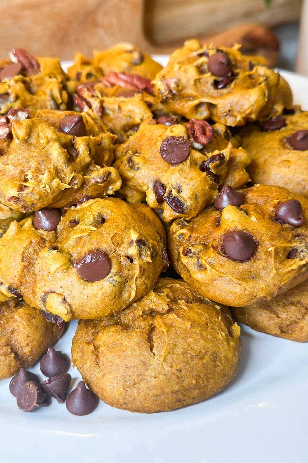 3 ingredient pumpkin cookies with chocolate chips and pecans on a plate