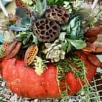 A vibrant orange Cinderella pumpkin is used as a planter, filled with an array of colorful succulents, dry pods, and greenery, creating a unique autumn-themed arrangement. The pumpkin sits on a rustic wire surface, with a weathered wooden background.