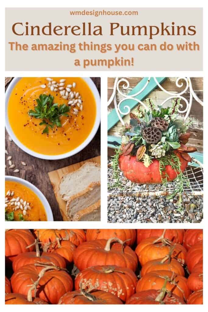 Three images- pumpkin soup in a bowl, a succulent planted pumpkin, and a field of Cinderella Pumpkins. 