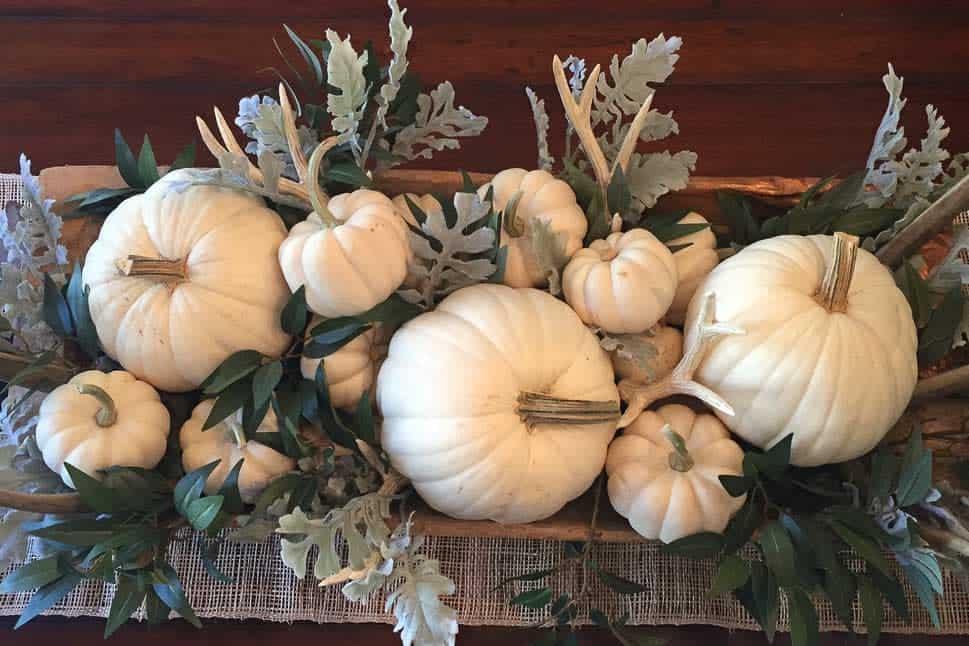 A dough bowl full of white pumpkins is sitting on a dining room table. 
