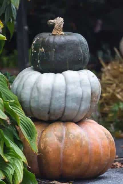 A stack of three pumpkins 
