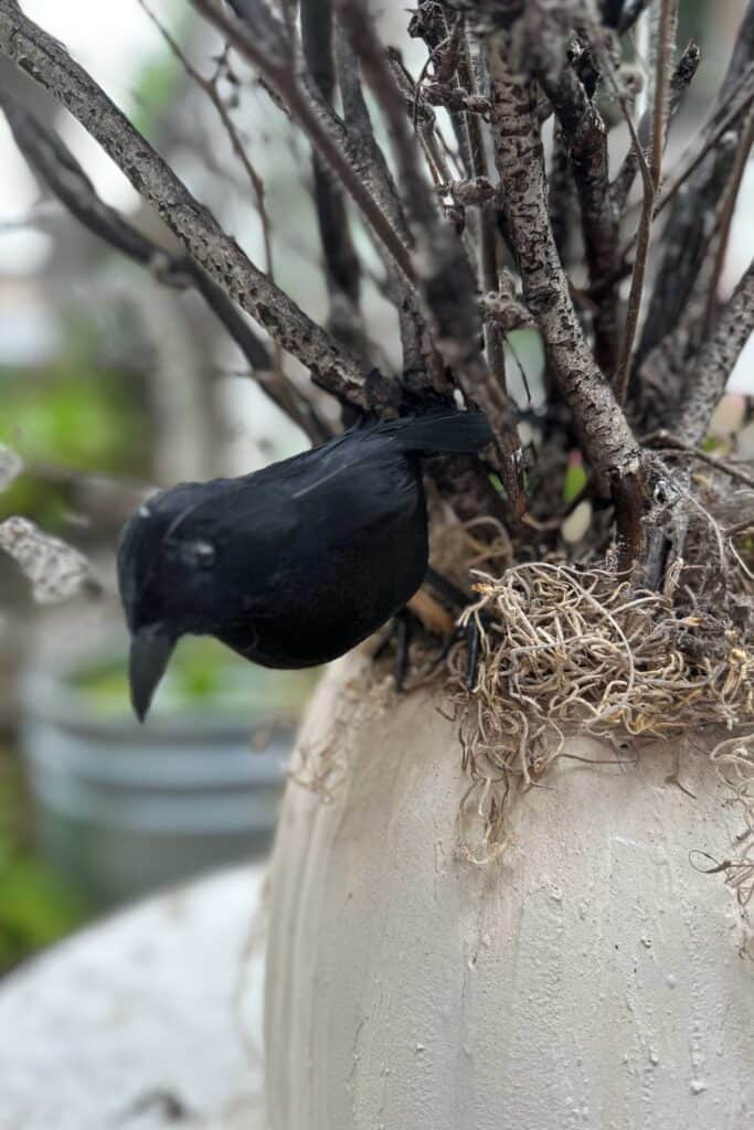 Adding black crows to my DIY Halloween Tree