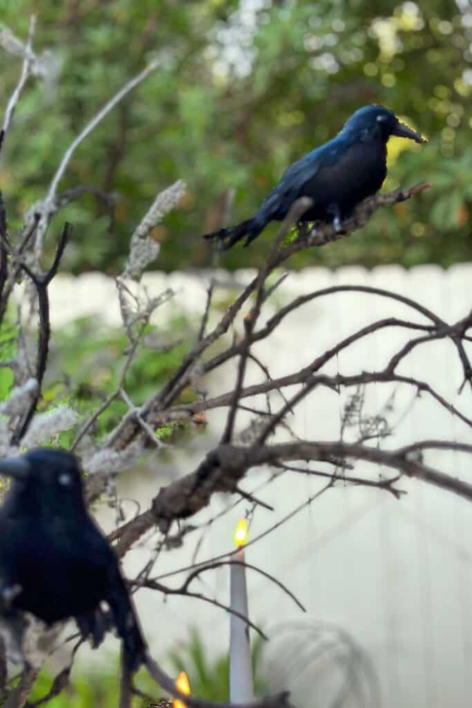 Crows placed on the outer branches of my DIY Halloween tree. 