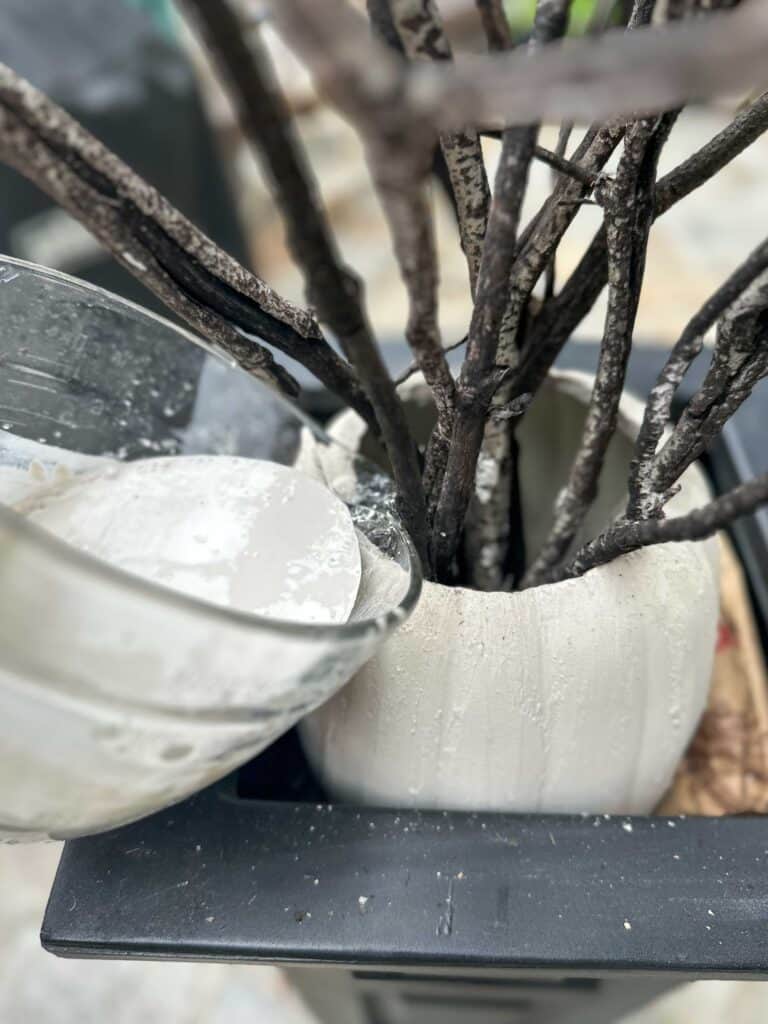 Pouring Plaster of Paris into the pumpkin to hold the branches in place 