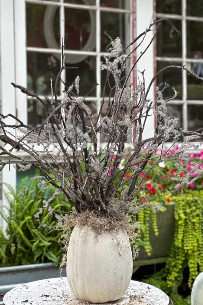 Halloween tree with Spanish moss and grey dried flowers. 