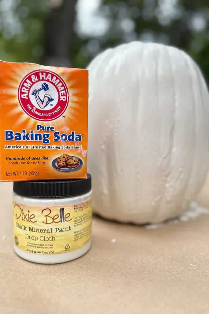 Supplies to paint your pumpkin so it has texture 