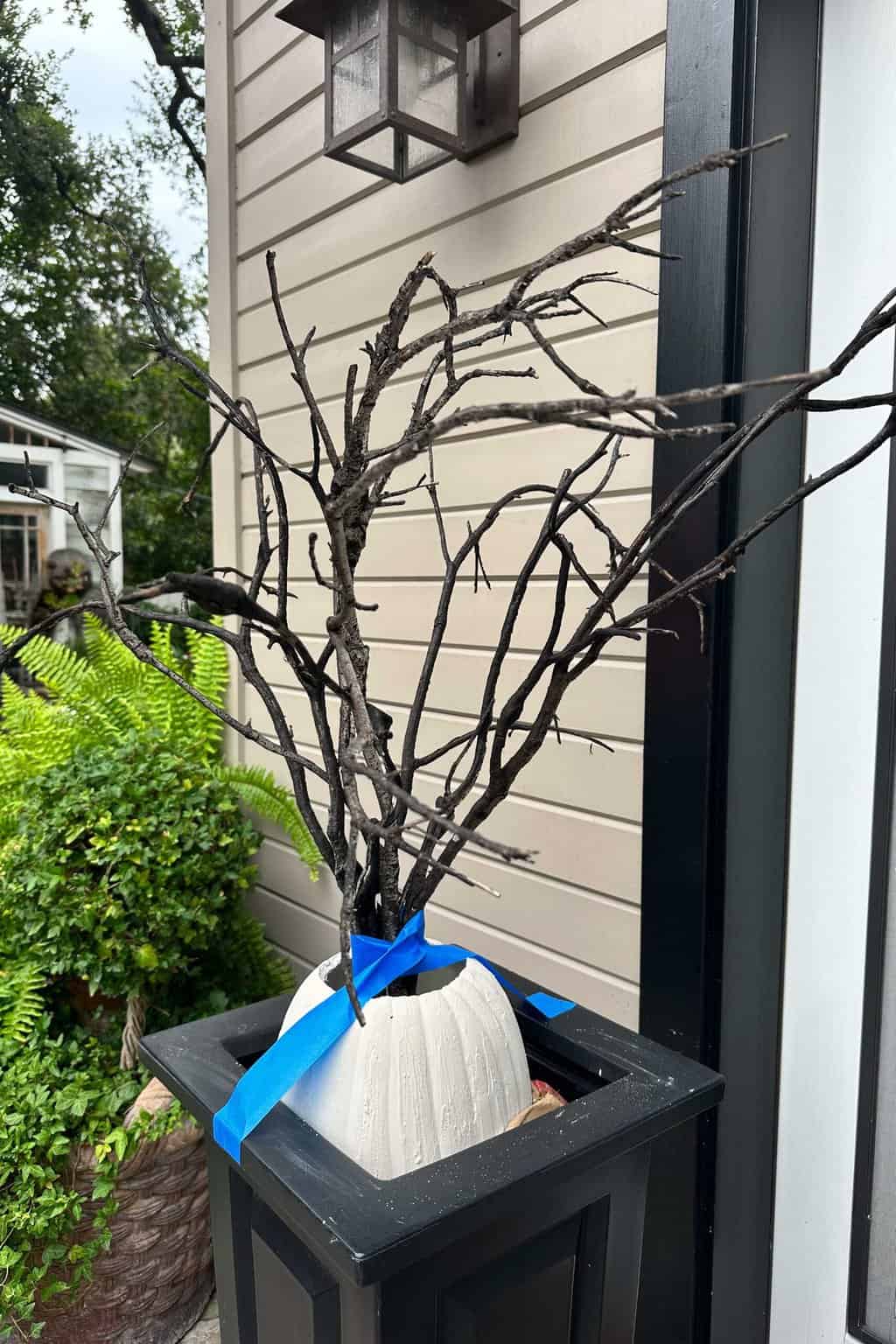 A white pumpkin with a blue ribbon around it sits on a black pedestal. The pumpkin holds several bare, twisted tree branches. In the background, there's a lantern and some plants, including a fern, against the beige siding of a house.
