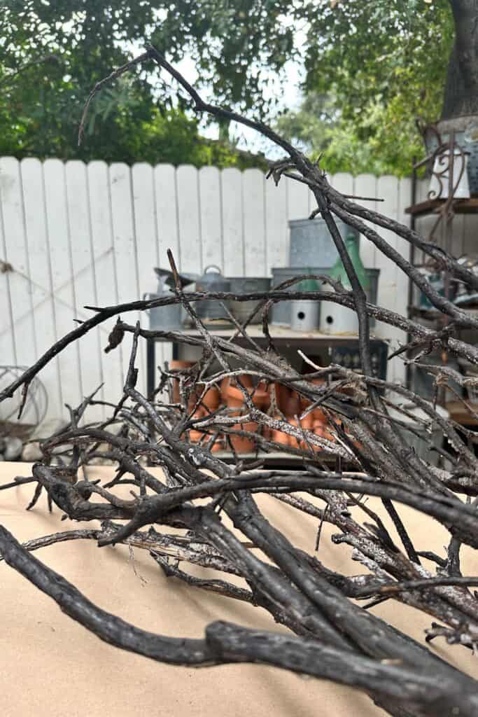 Charred black branches to use to make a DIY Halloween Tree