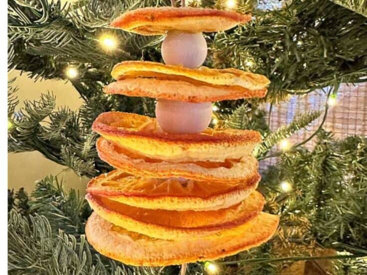 How to Make Dried Orange Stacked Ornaments 
