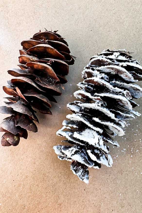Two pinecones are naturally brown, and the other has a light white paint and glitter coat.