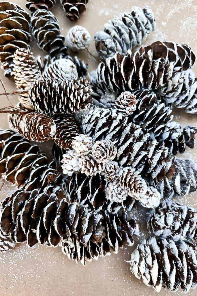 Assorted pinecones painted with white on their tips are shimmering from glitter.