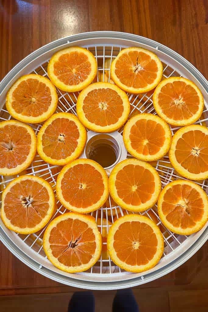 Orange slices in the dehydrator.