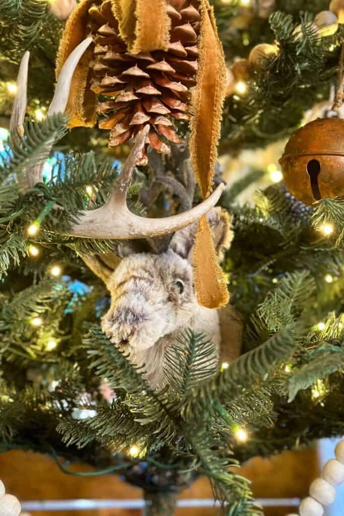 A furry moose head is sitting inside the Christmas Tree with antlers and pine cones.