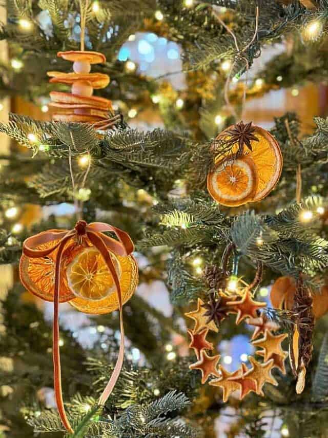 Dried orange ornaments on the Christmas Tree
