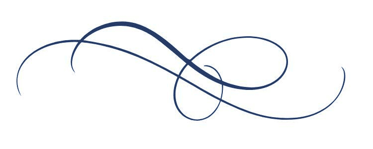 A decorative, dark blue calligraphic flourish with elegant loops and curves on a white background, accentuated by the subtle addition of dehydrated orange slices.
