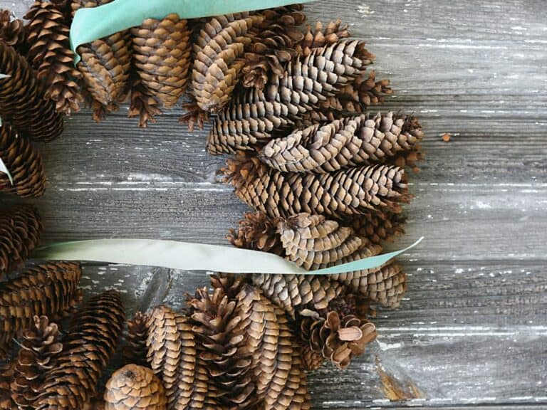 pine cone wreath