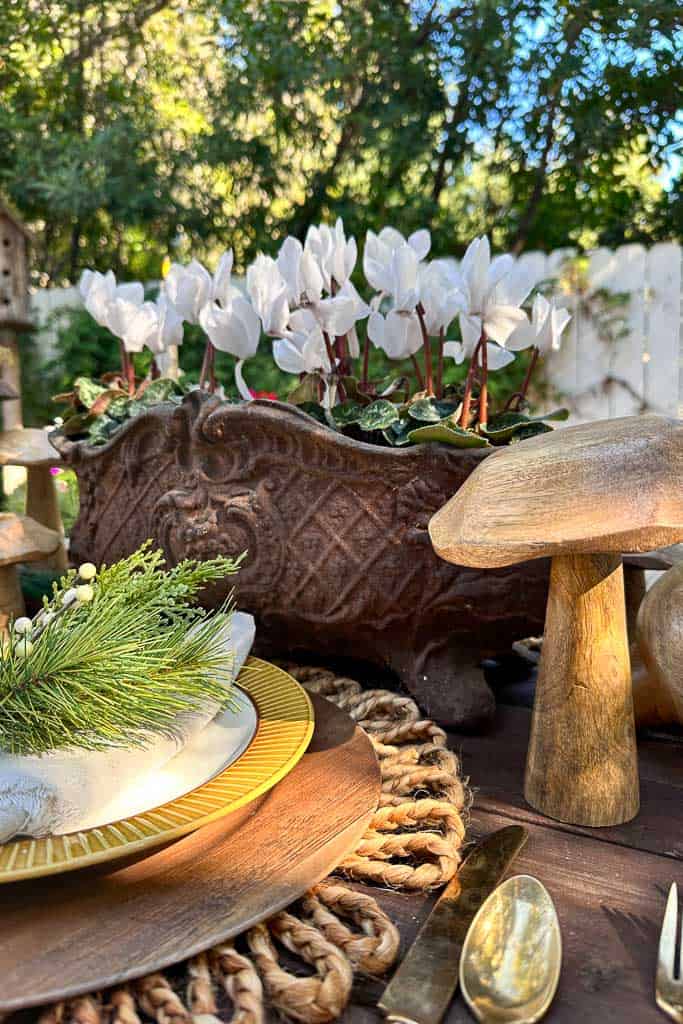 A wooden outdoor table is set with a wicker placemat, a gold-rimmed plate, and cutlery. A pine branch sits atop a rolled white napkin on the plate. A decorative pot with blooming white cyclamen and a carved wooden mushroom adorn the space. Trees and a fence are in the background.