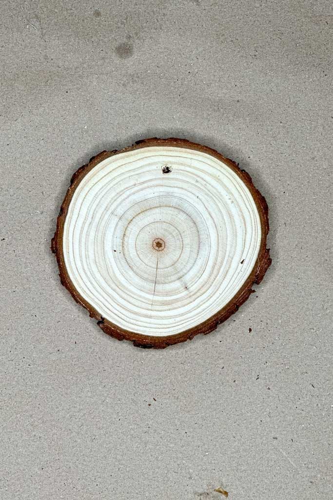 Small wood slices are being used for ornament-making with dehydrated orange slices.