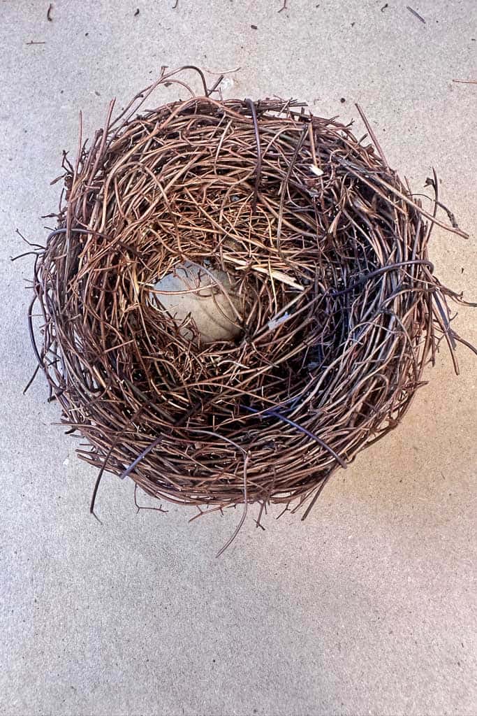 Small birds nest with a hole in the center of the bottom.