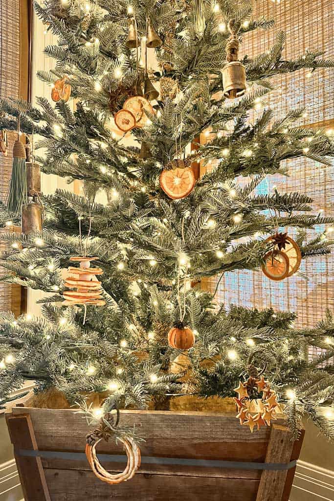 Dried orange sliced ornaments hanging on a fir noble Christmas tree.