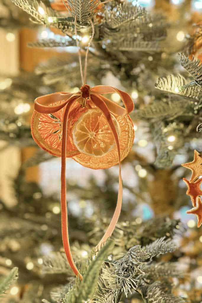 Dried orange slice ornament with velvet ribbon hanging in the tree.