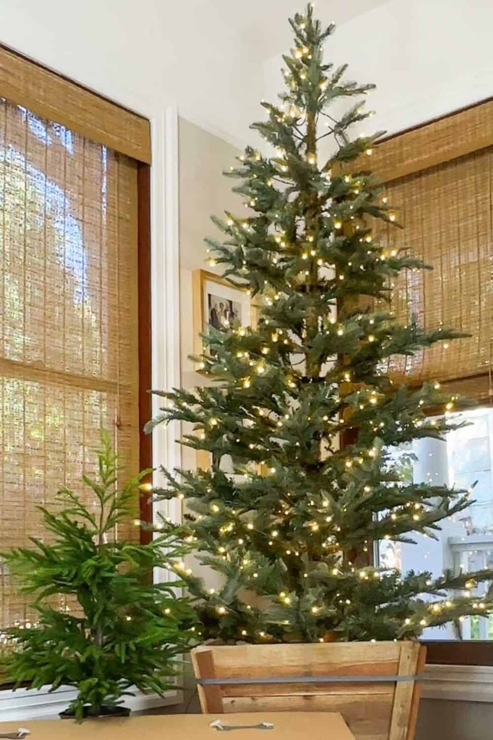 Naked Christmas tree with white lights.