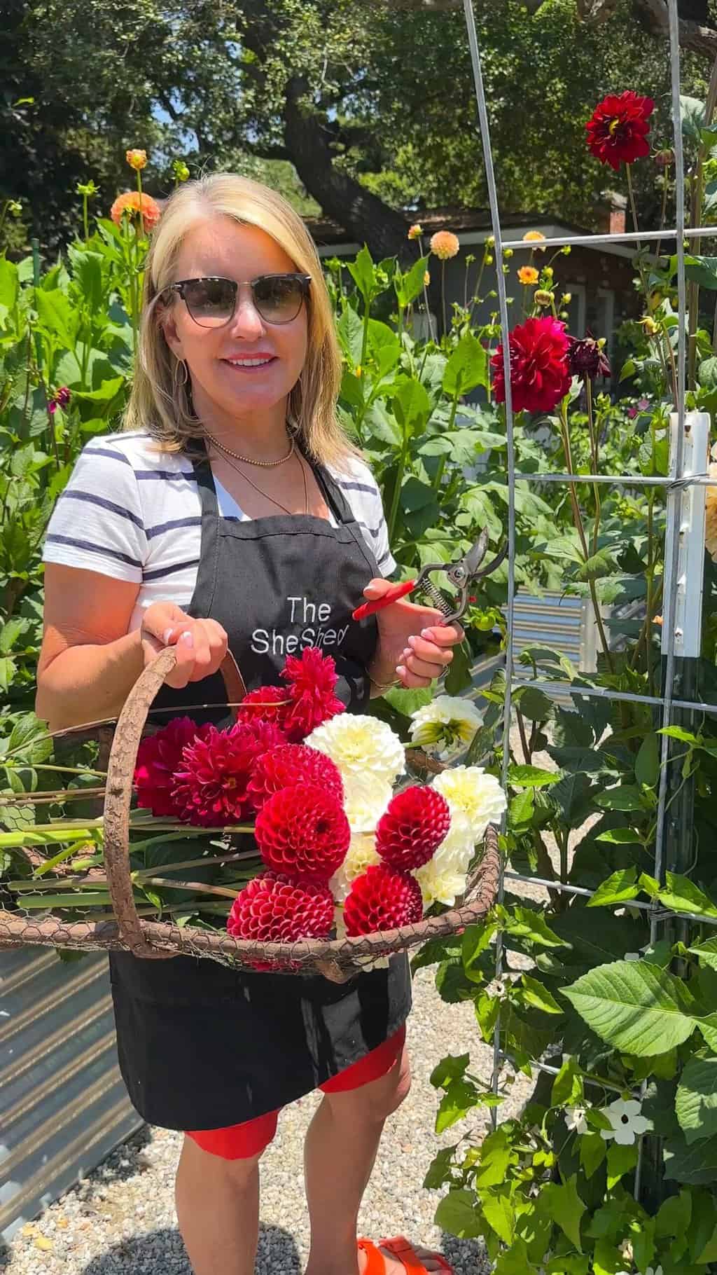 Wendy-cutting-dahlias--poster