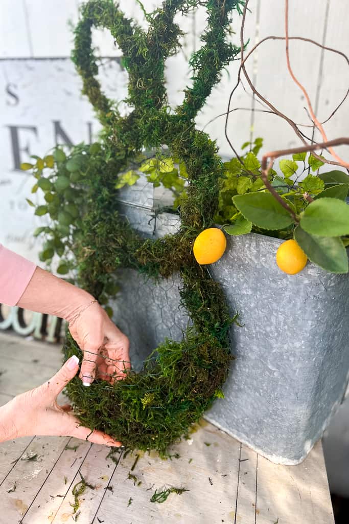 Add moss to the basket created on the body of the wreath. 