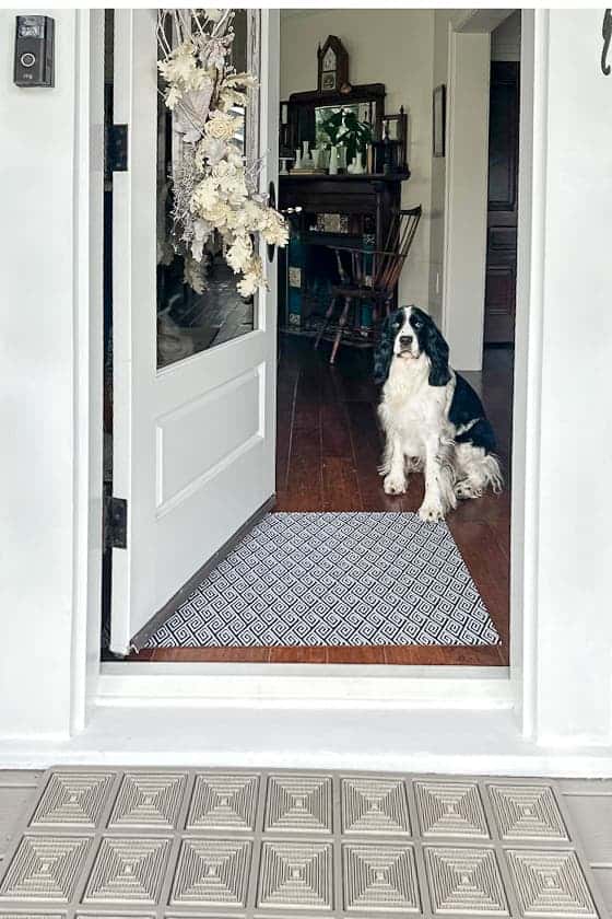 The beautiful Maze Insider Welcome mat from Porte + Hall is lying inside the door with the dog.