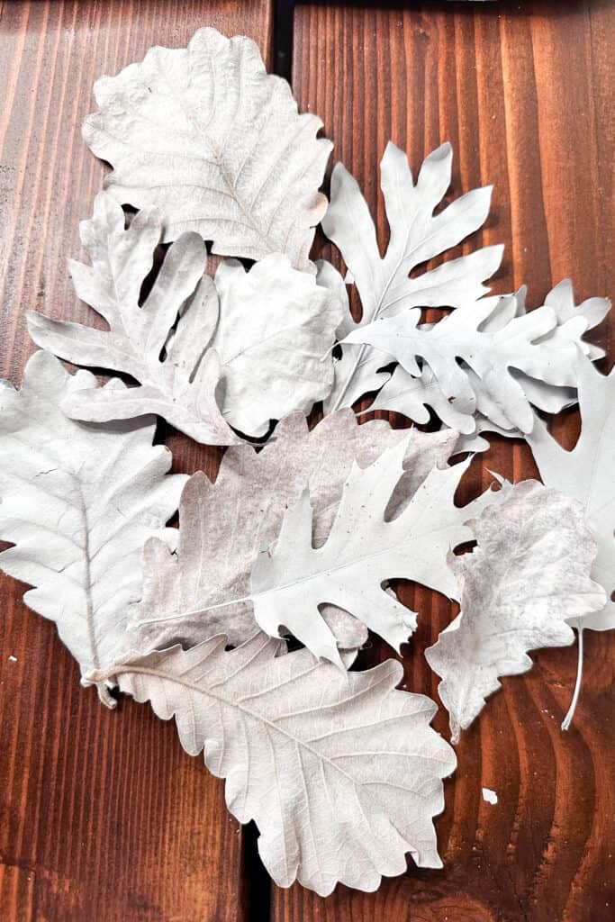 Painted oak leaves to add to the wreath. 
