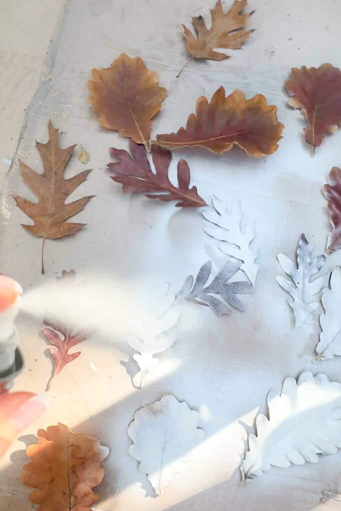 Spray painting leaves to attach to my Winter wreath with wood flowers. 