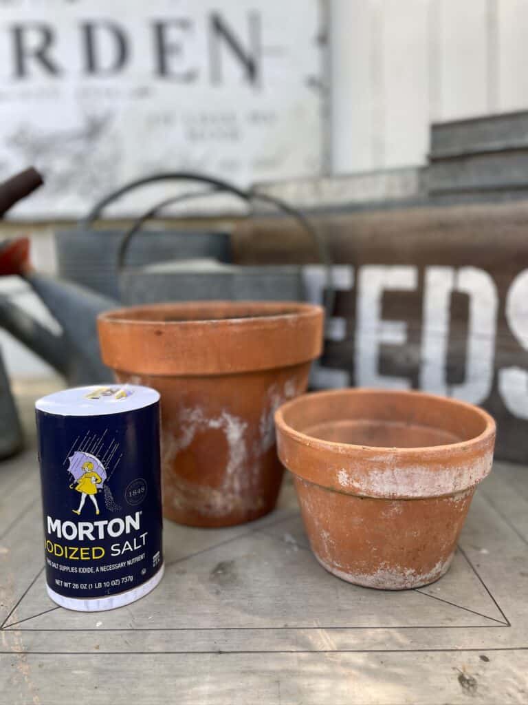 salt and terracotta pots to age pots using the salt and water method
