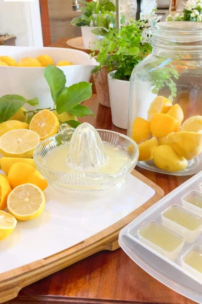 She was cutting lemons in half on a kitchen counter to make lemon ice cubes. 