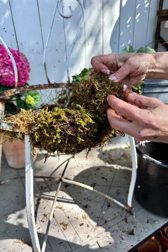 I am showing how to add moss to a chair planter for the garden.