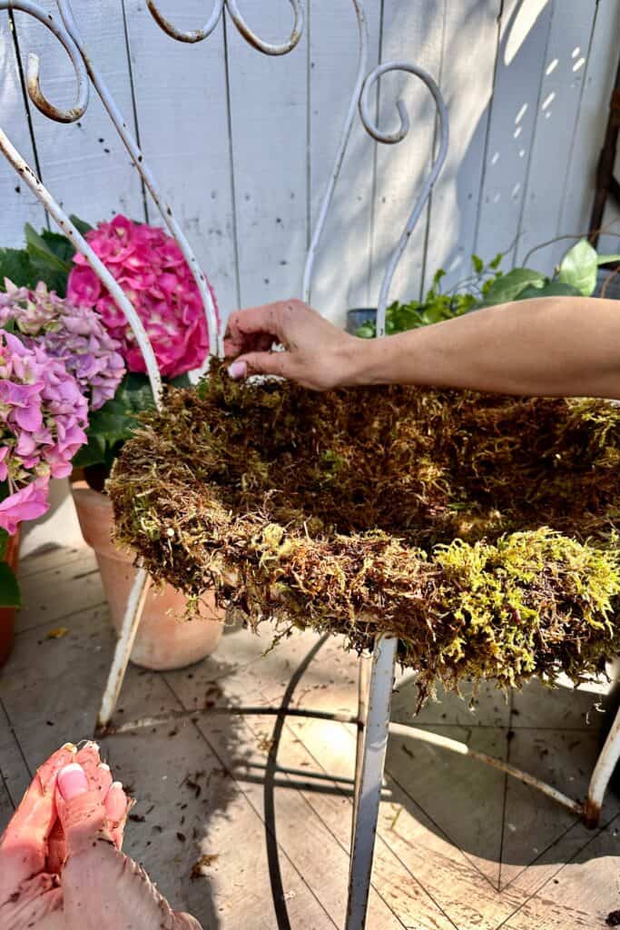 Showing the final touches of adding the moss to the chicken wire to create a chair planter.