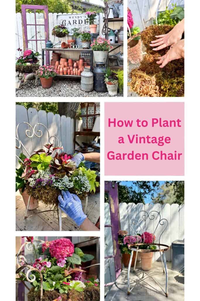 Vintage garden chair planters for Pinterest. 