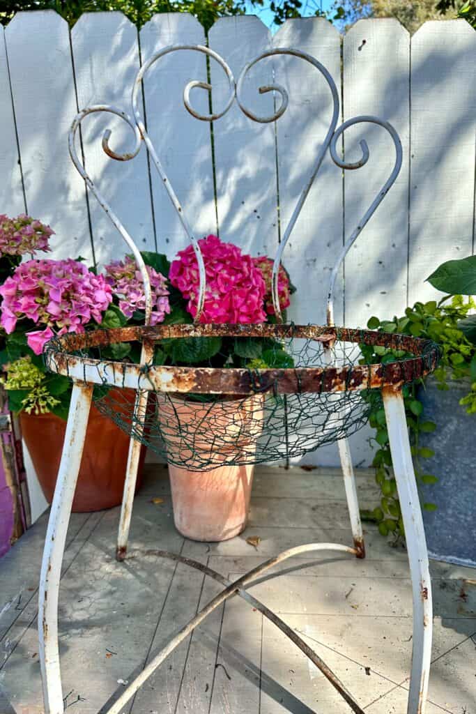 Chair with a chicken wire basket for planting.