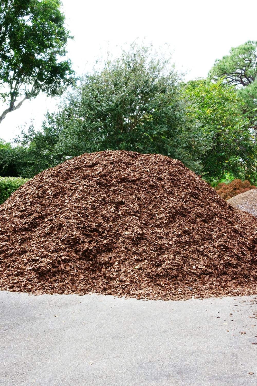 A pile of mulch in the driveway