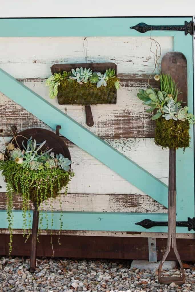 Rustic Charm: Shovel Planters for Succulents sitting against the shed. A dustpan, a filter, and a shovel were all planted with succulents.