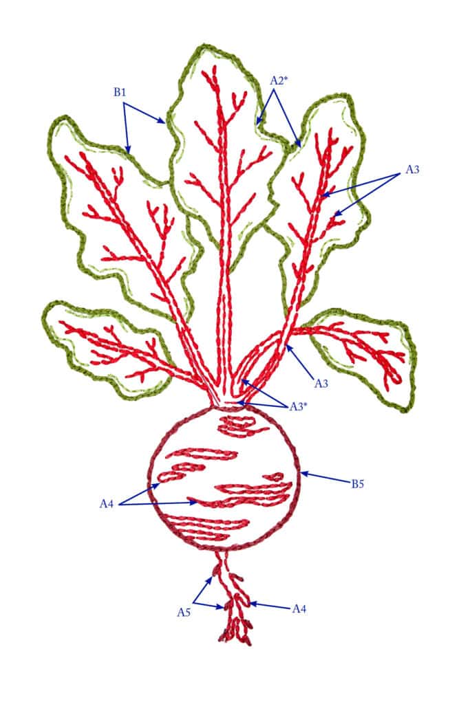Beet embroidery pattern FREE from DMC.