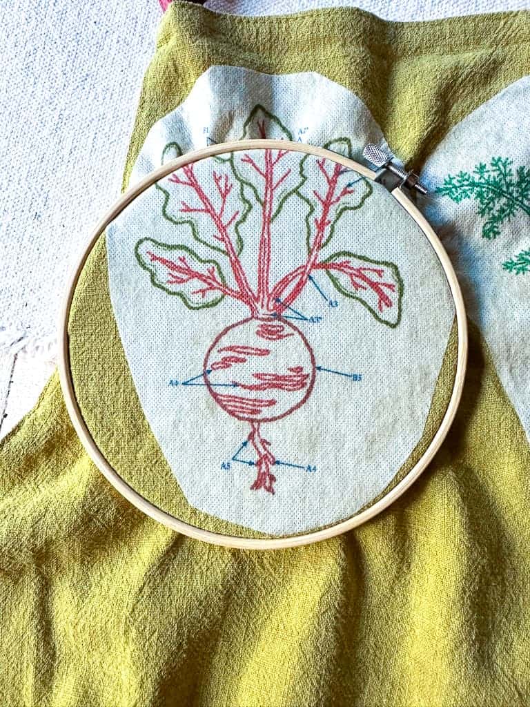An embroidery hoop over the beet to be stitched onto a garden apron for an embroidery idea
