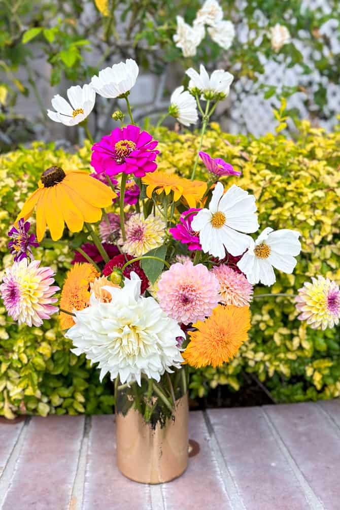 A vase full of colorful flowers, including white cosmos.