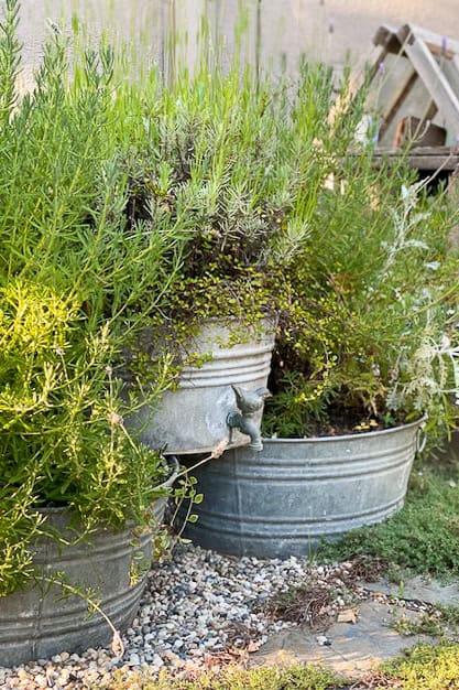 Three galvanized tubs planted and stacked together,
