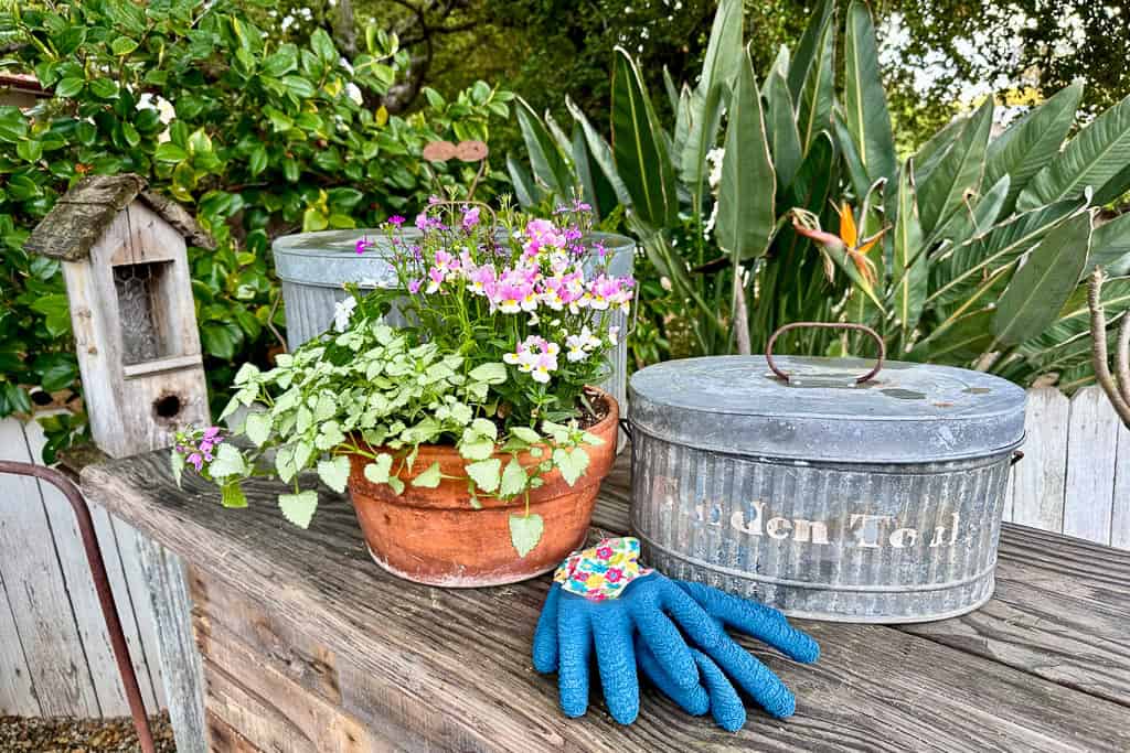 Garden bench with two galvanized containers a potted plant and a pair of gardening gloves.