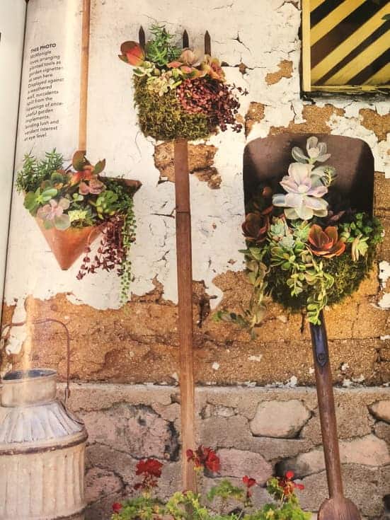Vintage shovels, pitchforks, and dust pans planted with succulents and hanging on a chippy wall.