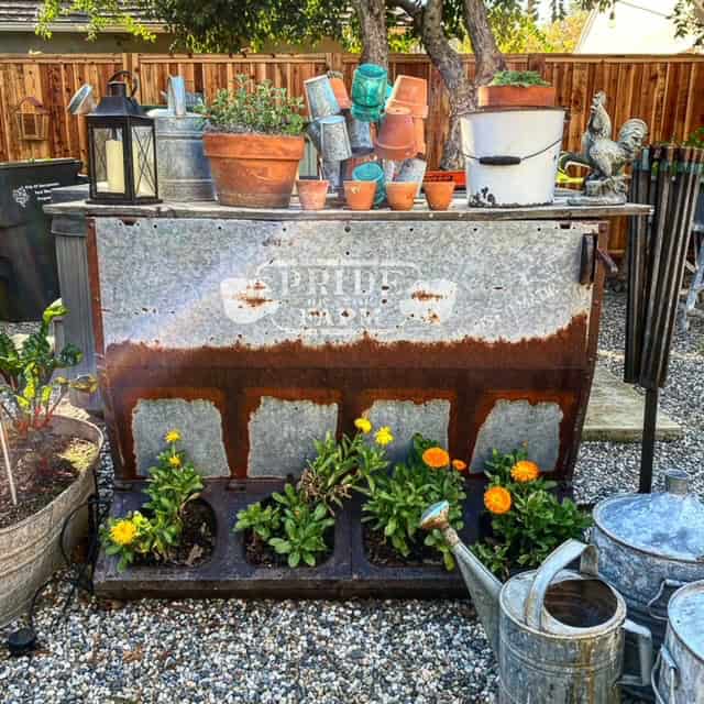 A vintage feeder off of the farm is being used as a potting bench and rustic planter idea. 