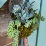 A rustic small shovel that is planted with succulents and moss leaning against the shed.